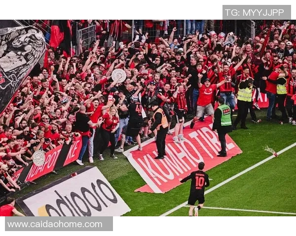 勒沃库森大胜，德甲冠军形势日益清晰