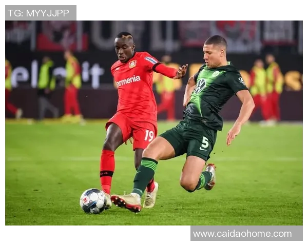 勒沃库森客战失利，汉堡主场获胜笑哈哈