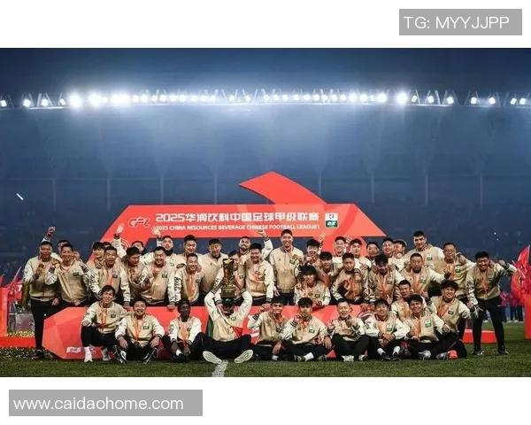 辽宁足球队斩获中乙联赛冠军,重返中甲雄心勃发 辽宁足球队斩获中乙联赛冠军,重返中甲雄心勃发