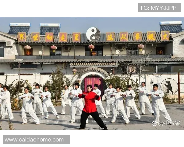 新架二路拳谱的传承与发展探讨：传统武术在现代社会的价值与意义