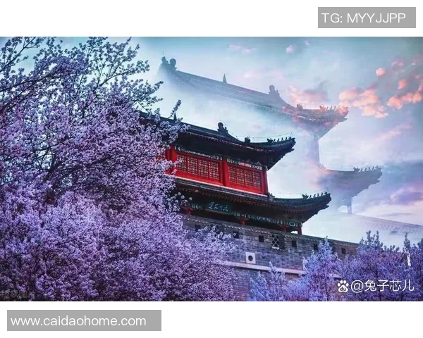 燕跟来之旅：探索古城文化与自然风光的完美结合