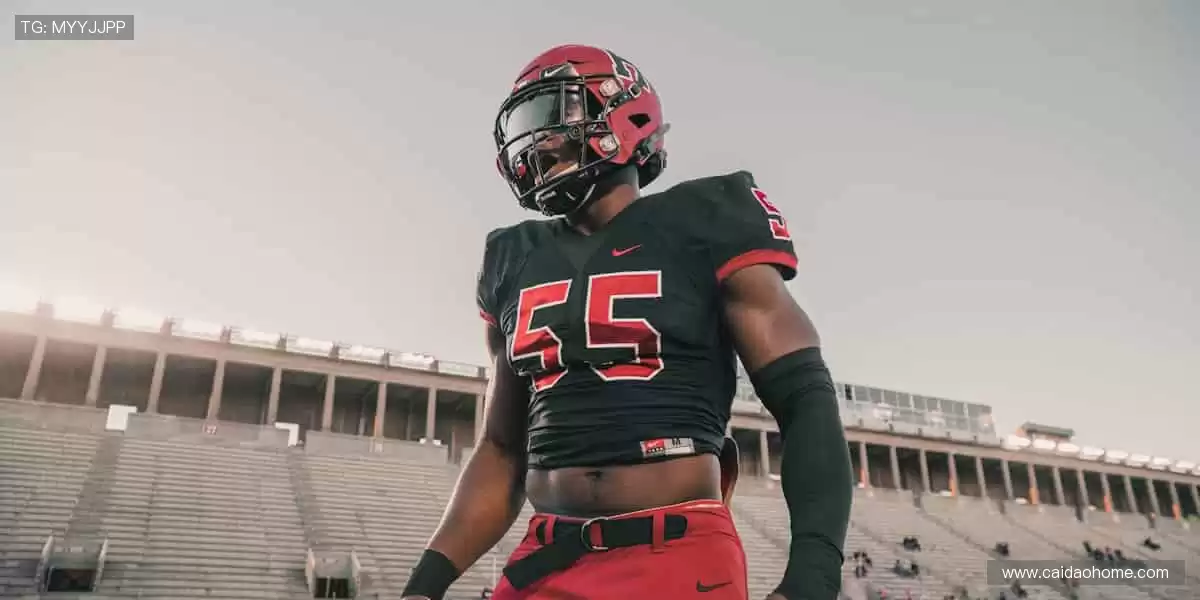 📱多屏同步，随时随地捕捉精彩瞬间！📻