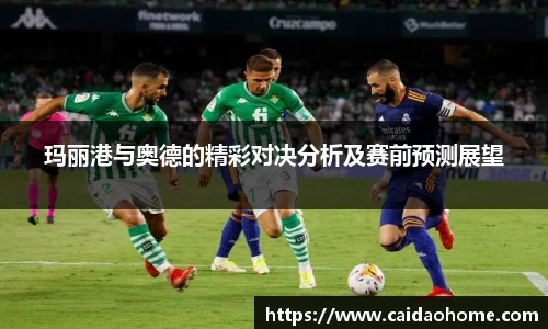 今年会官方网址