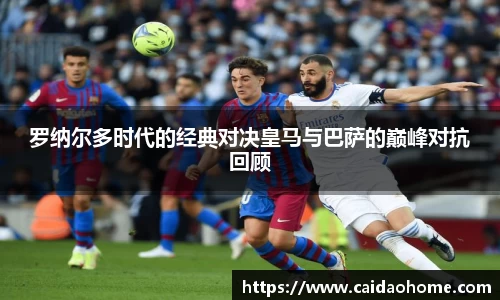 今年会全站