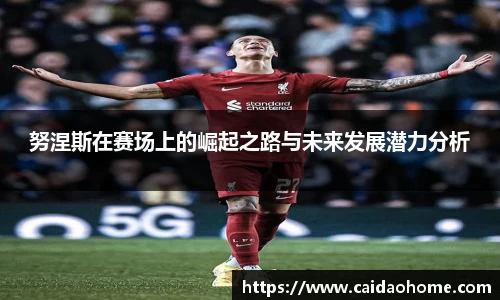 努涅斯在赛场上的崛起之路与未来发展潜力分析