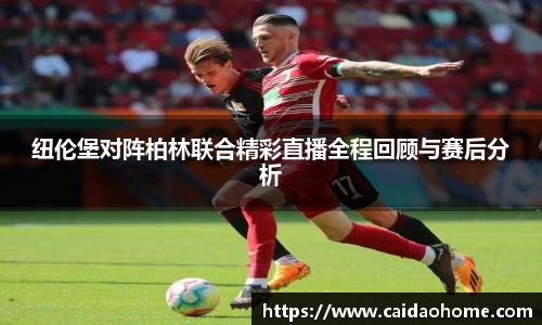 今年会全站